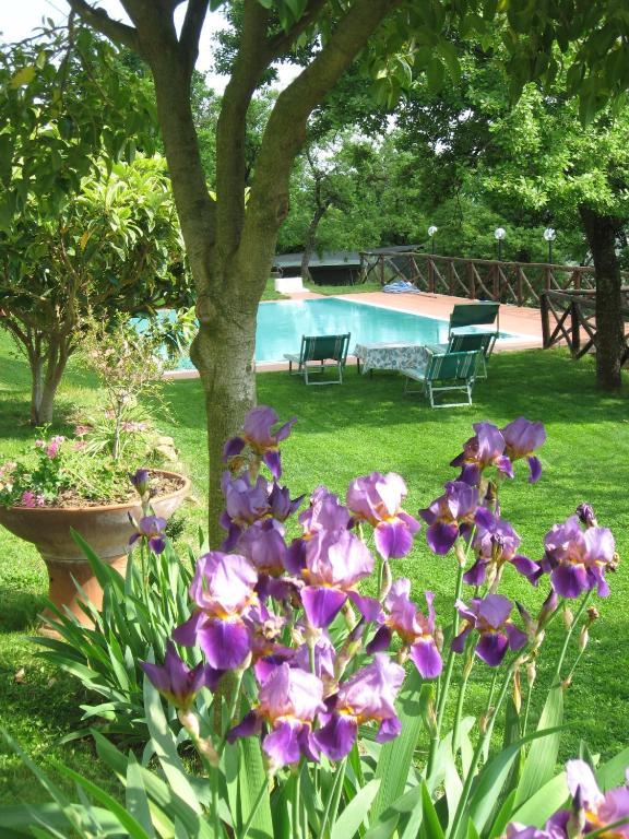 Agriturismo La Capitata Pian di Scò Dış mekan fotoğraf